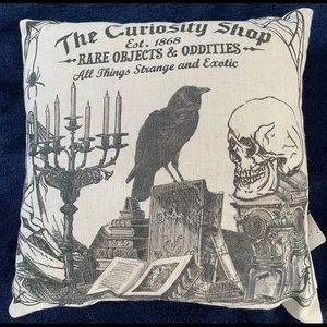 Throw pillow - The Curiosity Shop by Ashland